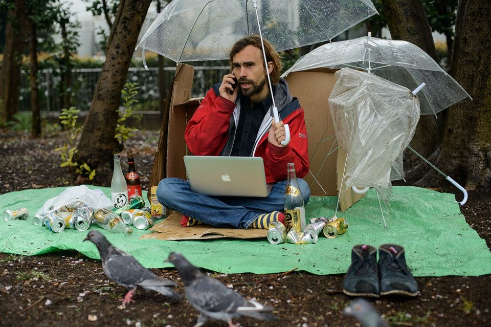 hobo and pigeons