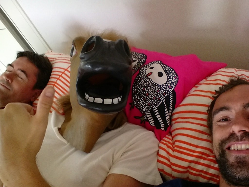 horse in bed